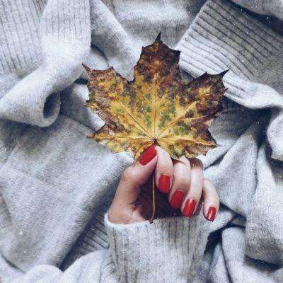 b体育官方体育app手机app下载